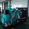 CNG 엔진 힘 500kw 천연 가스 발전기 turbocharging 방열기 물 냉각 미국 Altronic