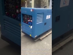 500Amp Mig Arc Tig 디젤 엔진 용접기 발전기