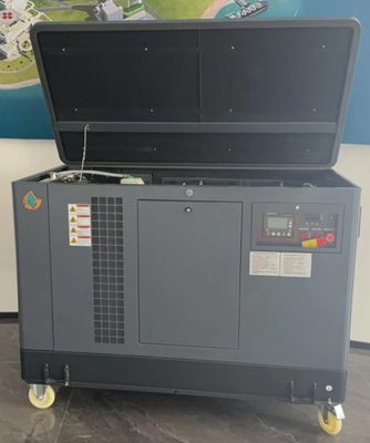 미국 시일런트 10kw 15kw 20kw EPA 엔진 LPG LNG 천연 가스 발전기