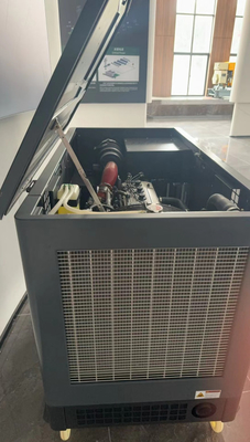 미국 시일런트 10kw 15kw 20kw EPA 엔진 LPG LNG 천연 가스 발전기